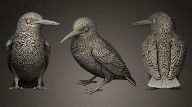 3D model Kingfisher sitting (STL)